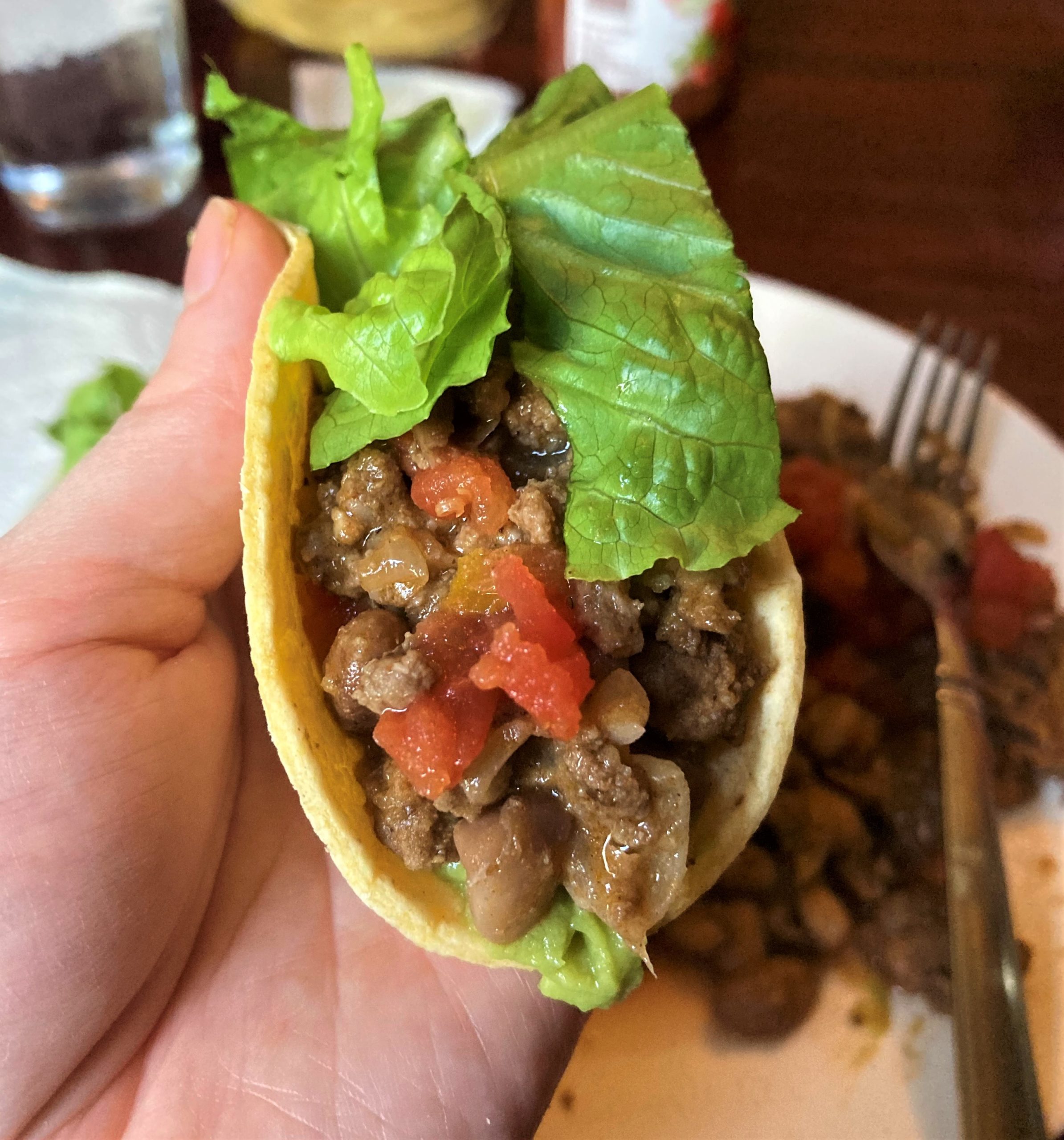 Beef and Bean Taco Filling